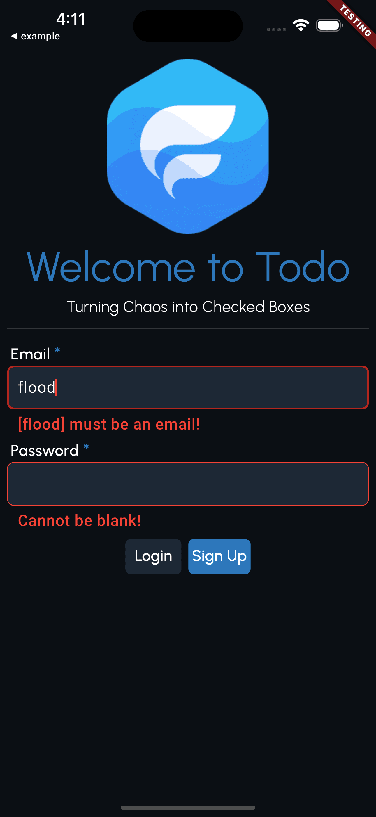 Login Page with errors