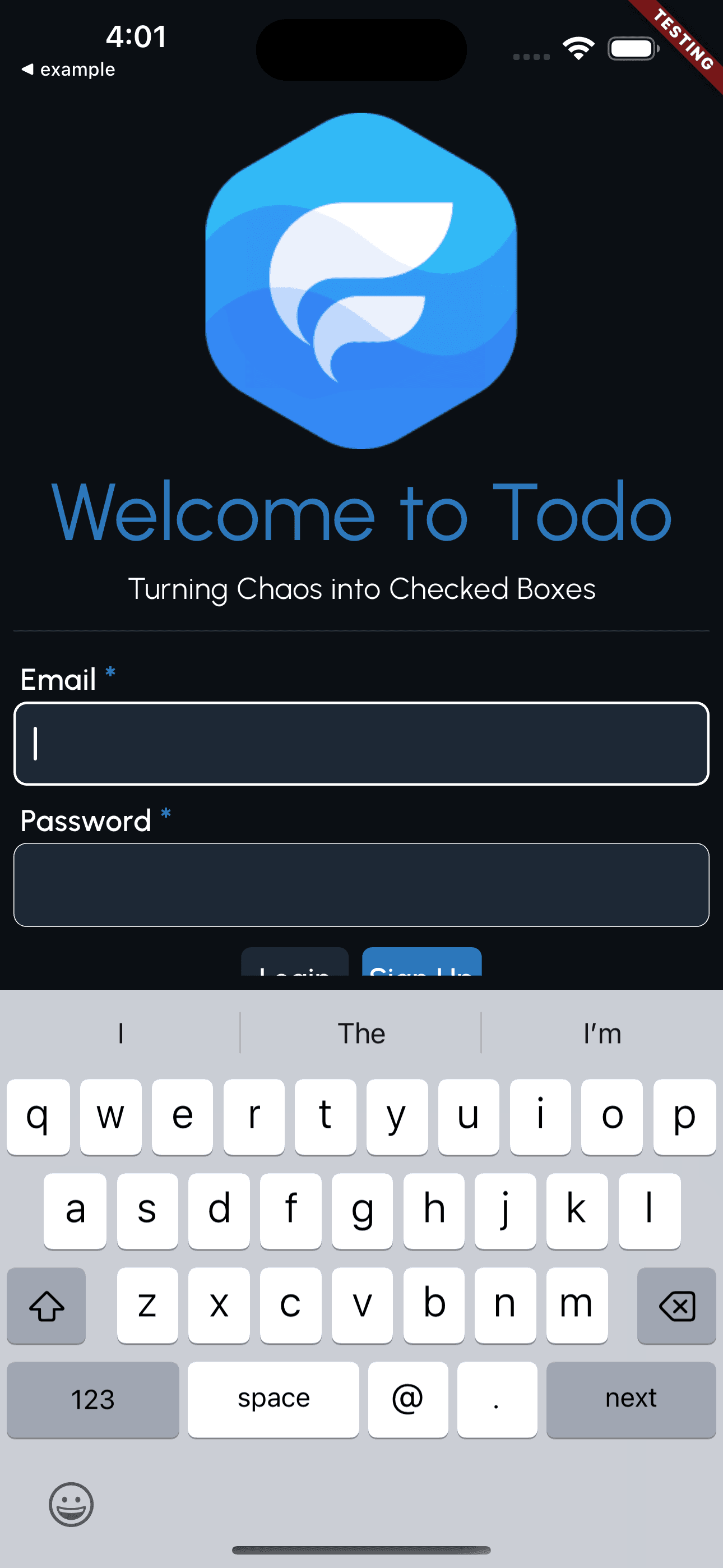 Login Page with fields